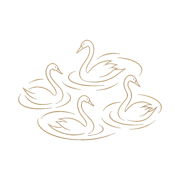Children of Lir swans stencil artwork