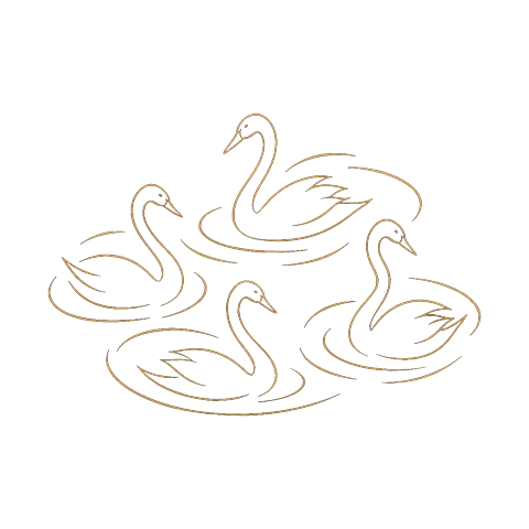 Children of Lir swans stencil artwork