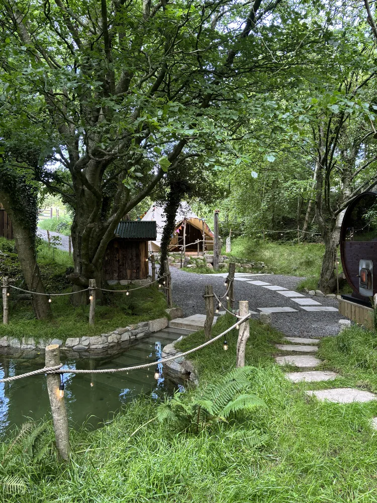 The path through the woodland, string lights leading past the yurt toward the sauna